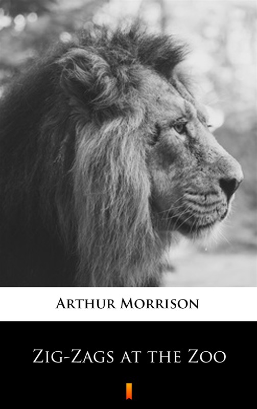 okładka Zig-Zags at the Zoo ebook | epub, mobi | Arthur Morrison