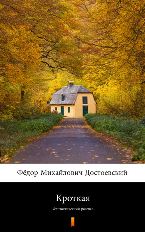 okładka Кроткая (Łagodna) ebook | epub, mobi | Фёдор Михайлович Достоевский, Fiodor Michajłowicz Dostojewski