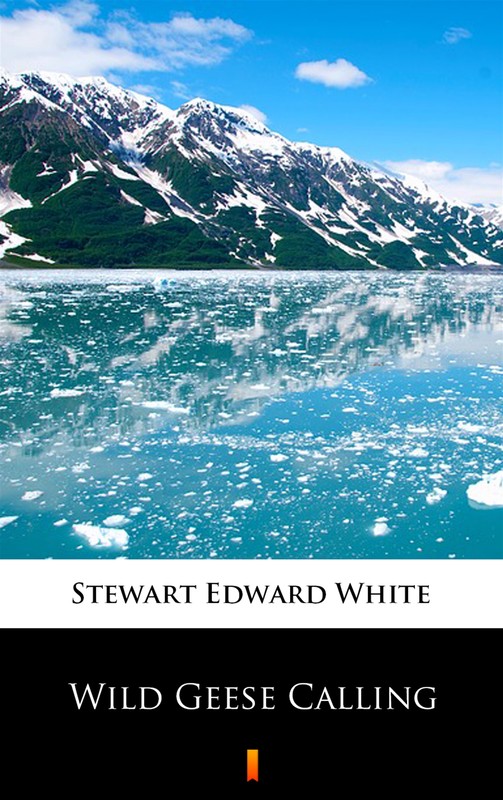 okładka Wild Geese Calling ebook | epub, mobi | Stewart Edward White