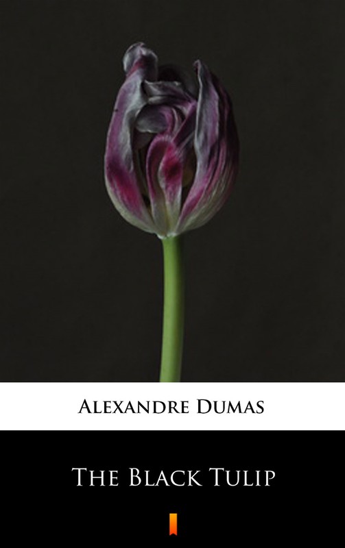 okładka The Black Tulip ebook | epub, mobi | Alexandre Dumas