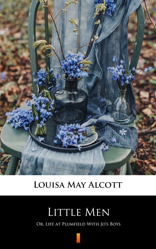 okładka Little Men ebook | epub, mobi | Louisa May Alcott