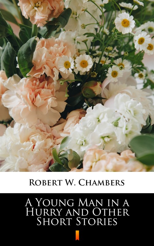 okładka A Young Man in a Hurry and Other Short Stories ebook | epub, mobi | Robert W. Chambers
