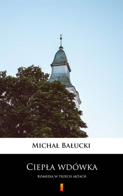 okładka Ciepła wdówka ebook | epub, mobi | Michał Bałucki