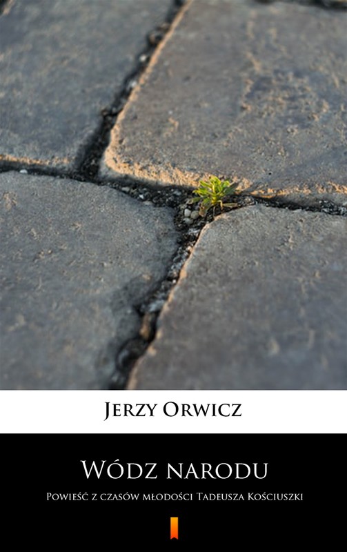 okładka Wódz narodu ebook | epub, mobi | Jerzy Orwicz