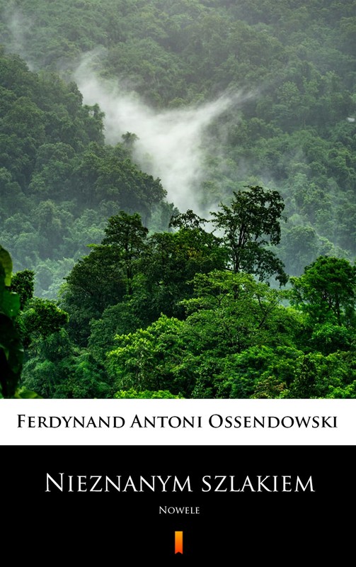 okładka Nieznanym szlakiem ebook | epub, mobi | Ferdynand Antoni Ossendowski