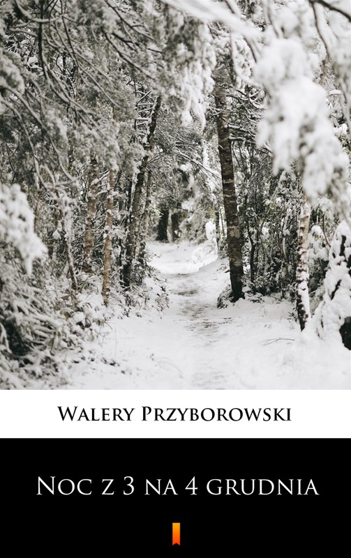 okładka Noc z 3 na 4 grudnia ebook | epub, mobi | Walery Przyborowski