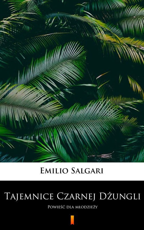 okładka Tajemnice Czarnej Dżungli ebook | epub, mobi | Salgari Emilio