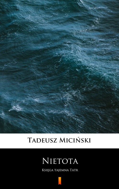 okładka Nietota ebook | epub, mobi | Tadeusz Miciński