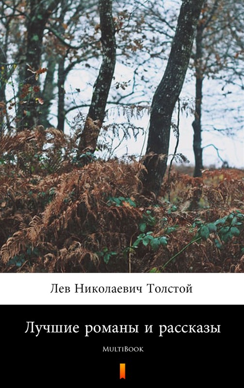 okładka Лучшие романы и рассказы ebook | epub, mobi | Лев Николаевич Толстой