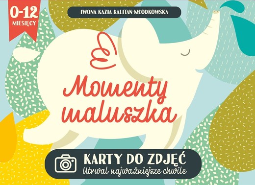 okładka Momenty maluszka karty do zdjęć książka