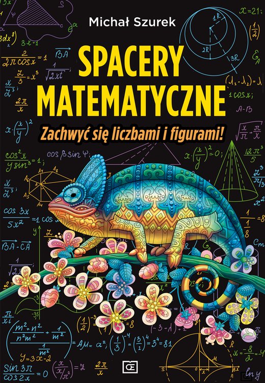 okładka Spacery matematyczne zachwyć się liczbami i figurami! książka | Szurek Michał