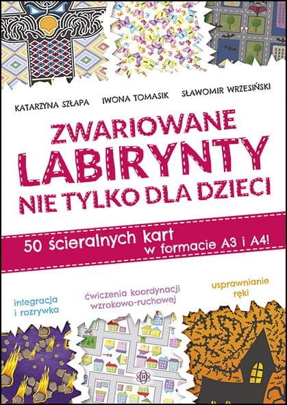 okładka Zwariowane labirynty nie tylko dla dzieci książka