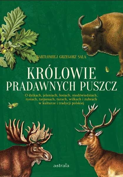 okładka Królowie pradawnych puszcz książka | Sala BartłomiejGrzegorz