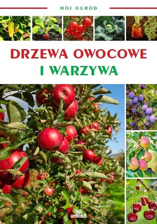 okładka Drzewa owocowe i warzywa. Mój ogród książka | Opracowanie zbiorowe