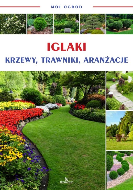 okładka Iglaki, krzewy, trawniki, aranżacje. Mój ogród książka | Opracowanie zbiorowe