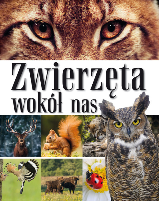 okładka Zwierzęta wokół nas. Encyklopedia dla dzieci książka | Opracowanie zbiorowe