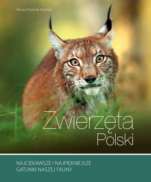 okładka Zwierzęta polski książka | Renata Kosińska