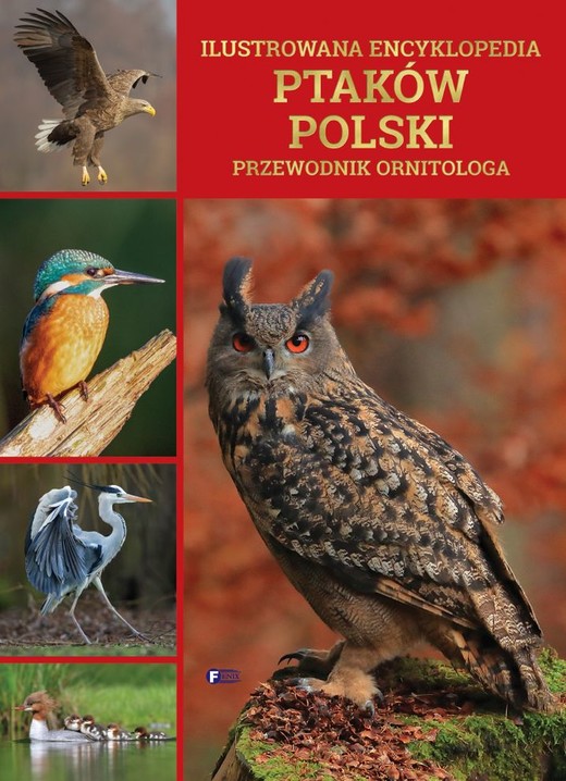 okładka Ilustrowana encyklopedia ptaków polski. Przewodnik ornitologa książka | Opracowanie zbiorowe