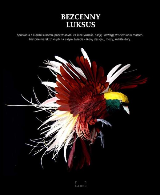 okładka Bezcenny luksus rozmowy z autorytetami książka | Opracowanie zbiorowe