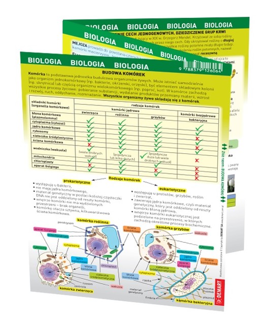 okładka Biologia. MAXI ściąga książka | Opracowanie zbiorowe
