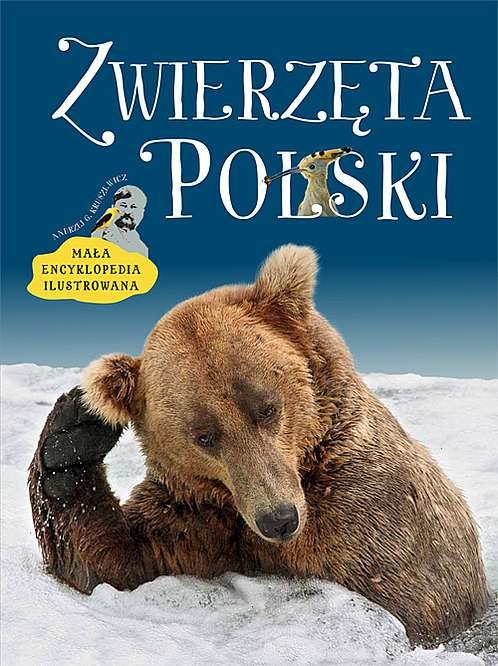 okładka Zwierzęta Polski. Mała encyklopedia ilustrowana książka | Andrzej Kruszewicz
