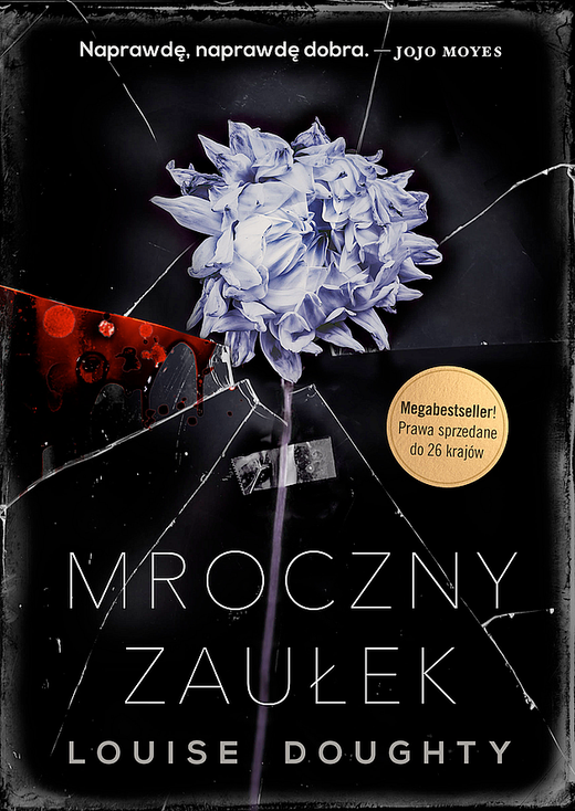 okładka Mroczny zaułek wyd. kieszonkowe książka | Louise Doughty