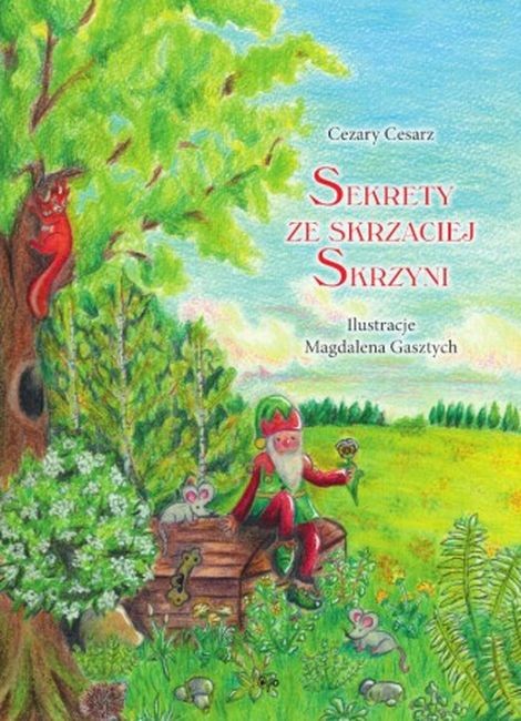 okładka Sekrety ze skrzaciej skrzyni książka