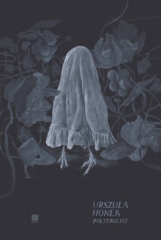 okładka Poltergeist książka | Urszula Honek