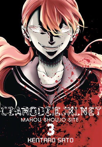 okładka Czarodziejki.net. Tom 3 książka