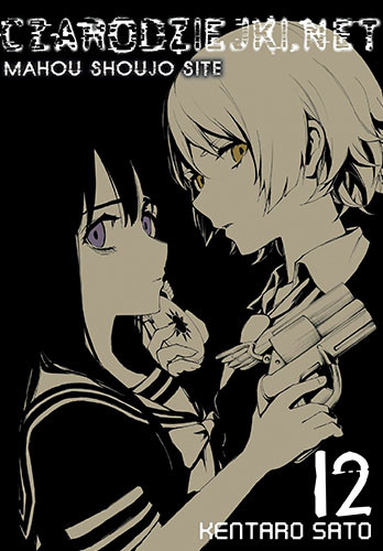 okładka Czarodziejki.net. Tom 12 książka