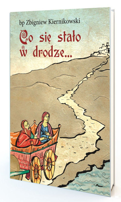 okładka Co się stało w drodze książka