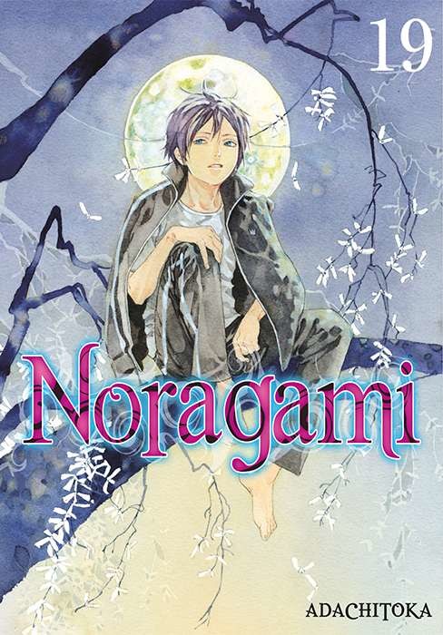 okładka Noragami. Tom 19 książka