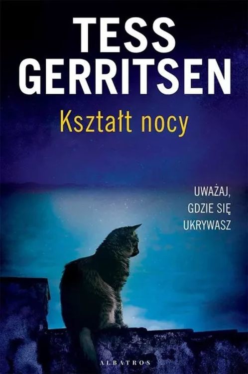 okładka Kształt nocy książka | Tess Gerritsen