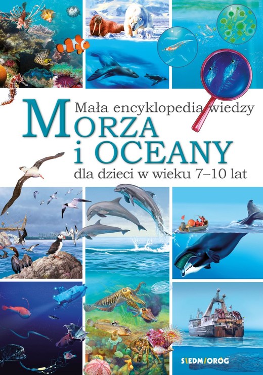 okładka Mała encyklopedia wiedzy. Morza i oceany książka | Eryk Chilmon