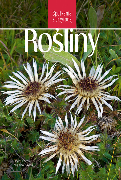 okładka Rośliny. Spotkania z przyrodą książka