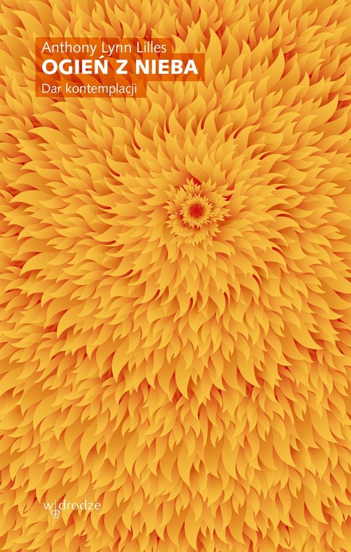 okładka Ogień z nieba. Dar kontemplacji książka