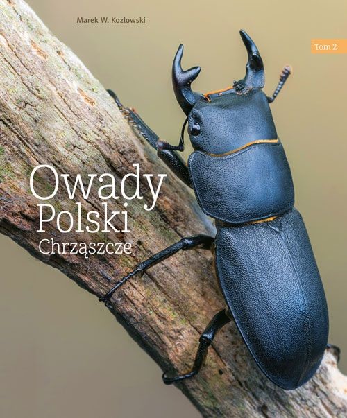 okładka Owady Polski. Tom 2 wyd. 2023 książka | Kozłowski Marek