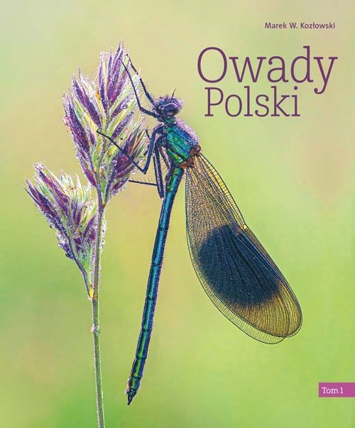 okładka Owady Polski. Tom 1 wyd. 2023 książka | Kozłowski Marek