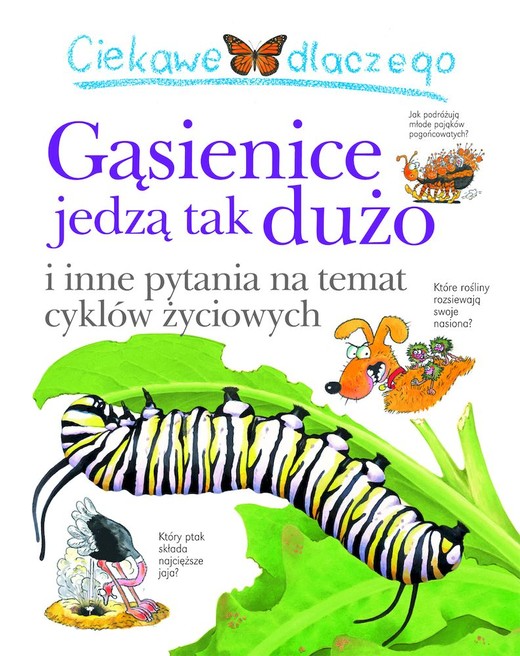 okładka Ciekawe dlaczego gąsienice jedzą tak dużo książka