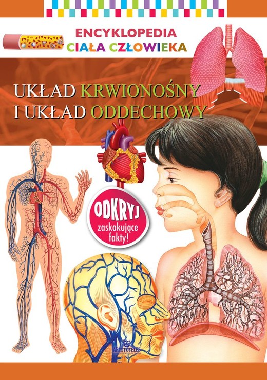 okładka Układ krwionośny i układ oddechowy. Encyklopedia ciała człowieka książka | Opracowanie zbiorowe