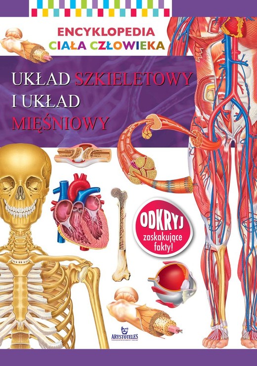 okładka Układ szkieletowy i układ mięśniowy. Encyklopedia ciała człowieka książka | Opracowanie zbiorowe