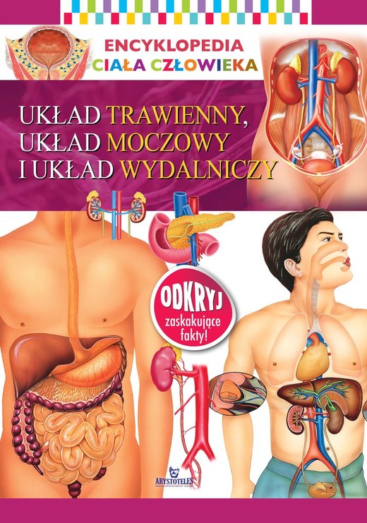 okładka Układ trawienny, układ moczowy i układ wydalniczy. Encyklopedia ciała człowieka książka | Opracowanie zbiorowe