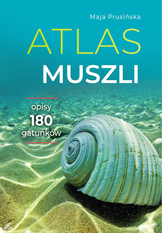 okładka Atlas muszli książka | Maja Prusińska