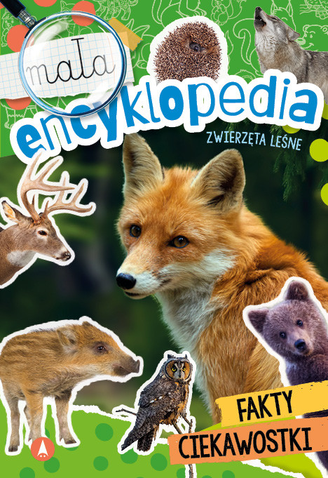 okładka Zwierzęta leśne. Mała encyklopedia książka | Opracowanie zbiorowe