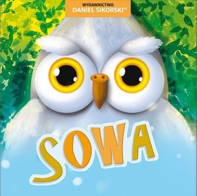 okładka Sowa książka