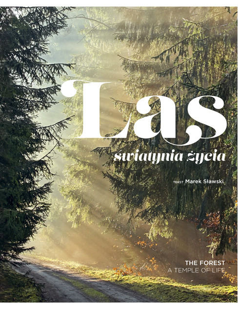 okładka Las. Świątynia życia wyd. 2024 książka