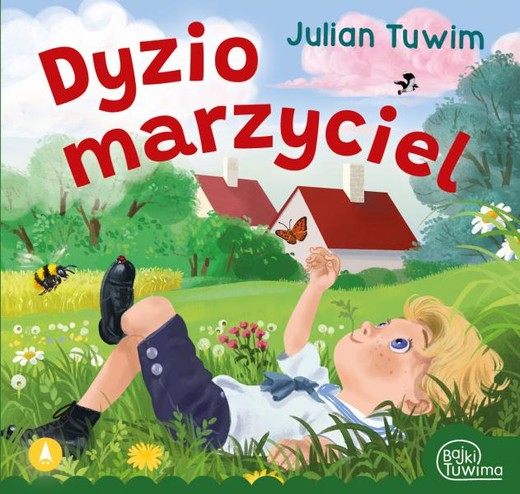 okładka Dyzio marzyciel książka