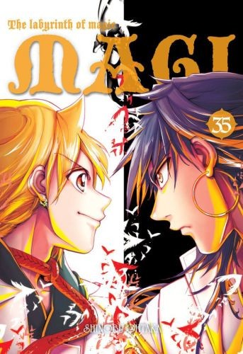 okładka Magi: Labirynth of Magic. Tom 35 książka