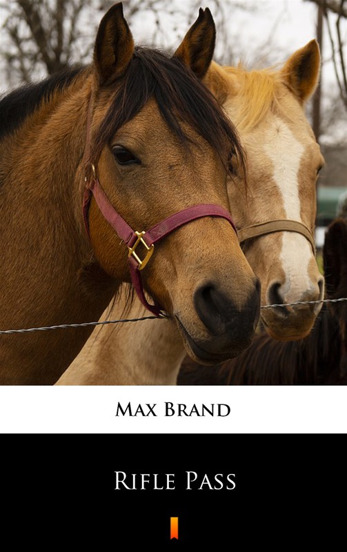 okładka Rifle Pass ebook | epub, mobi | Max Brand