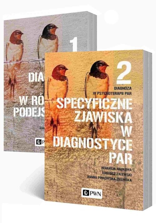 okładka Diagnoza w psychoterapii par Tom 1-2 książka | Hanna Pinkowska-Zielińska, Bartosz Zalewski